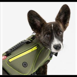 Neoprene Dog Life Jacket Vest